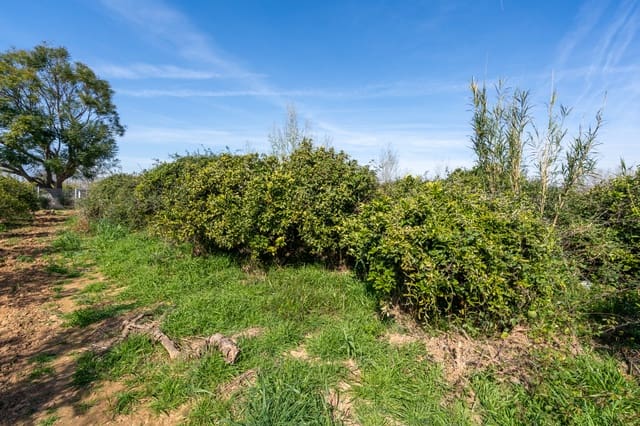 Quinta/Casa Rural para venda em Vinallop, Tortosa - 34 000 € (Ref: 9627903)