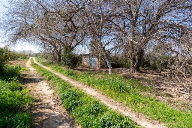 Finca/Casa Rural en Tortosa en venta - 34.000 € (Ref: 9627903)