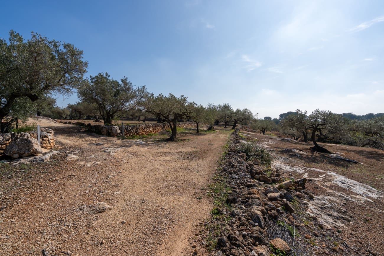 Finca/Country House for sale in Camarles - € 63,000 (Ref: 9634628)