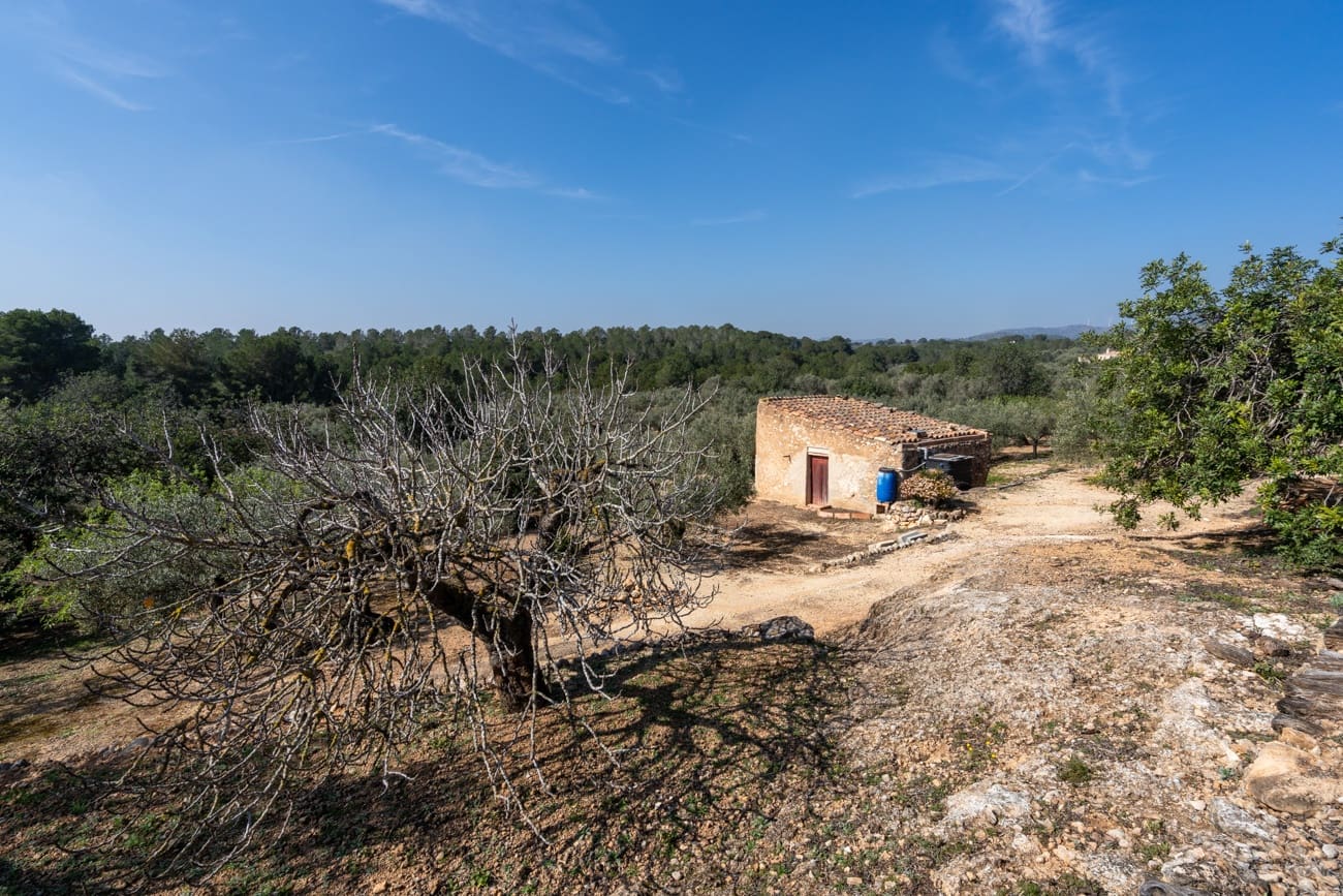 Finca/Country House for sale in Camarles - € 63,000 (Ref: 9634628)