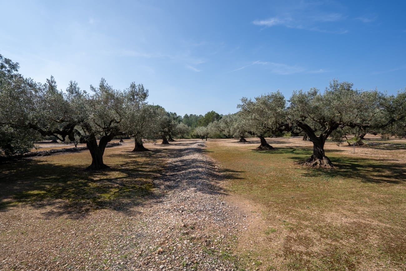 Finca/Country House for sale in Camarles - € 63,000 (Ref: 9634628)