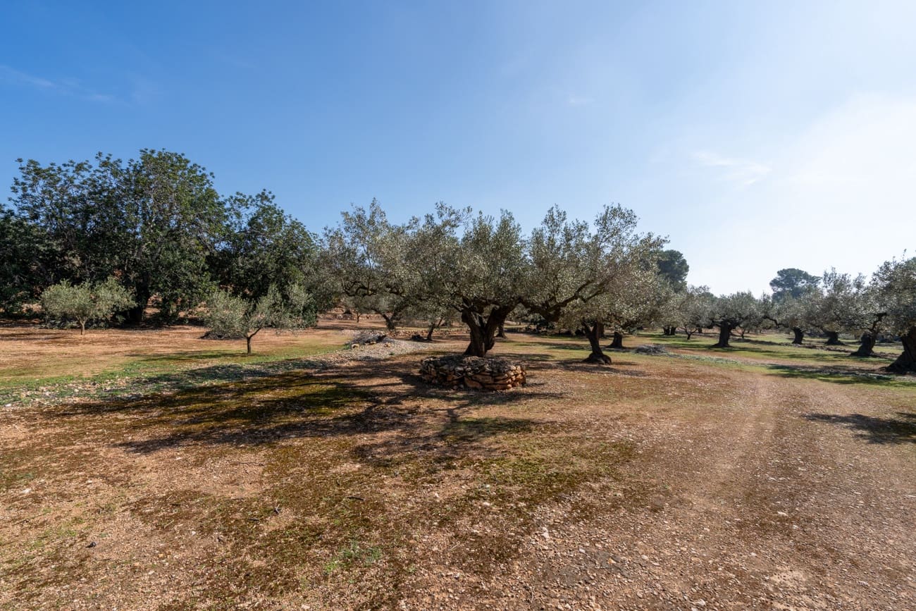 Finca/Country House for sale in Camarles - € 63,000 (Ref: 9634628)