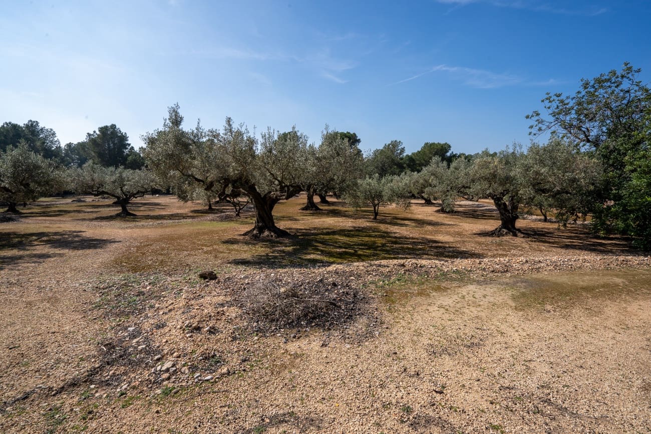 Finca/Country House for sale in Camarles - € 63,000 (Ref: 9634628)