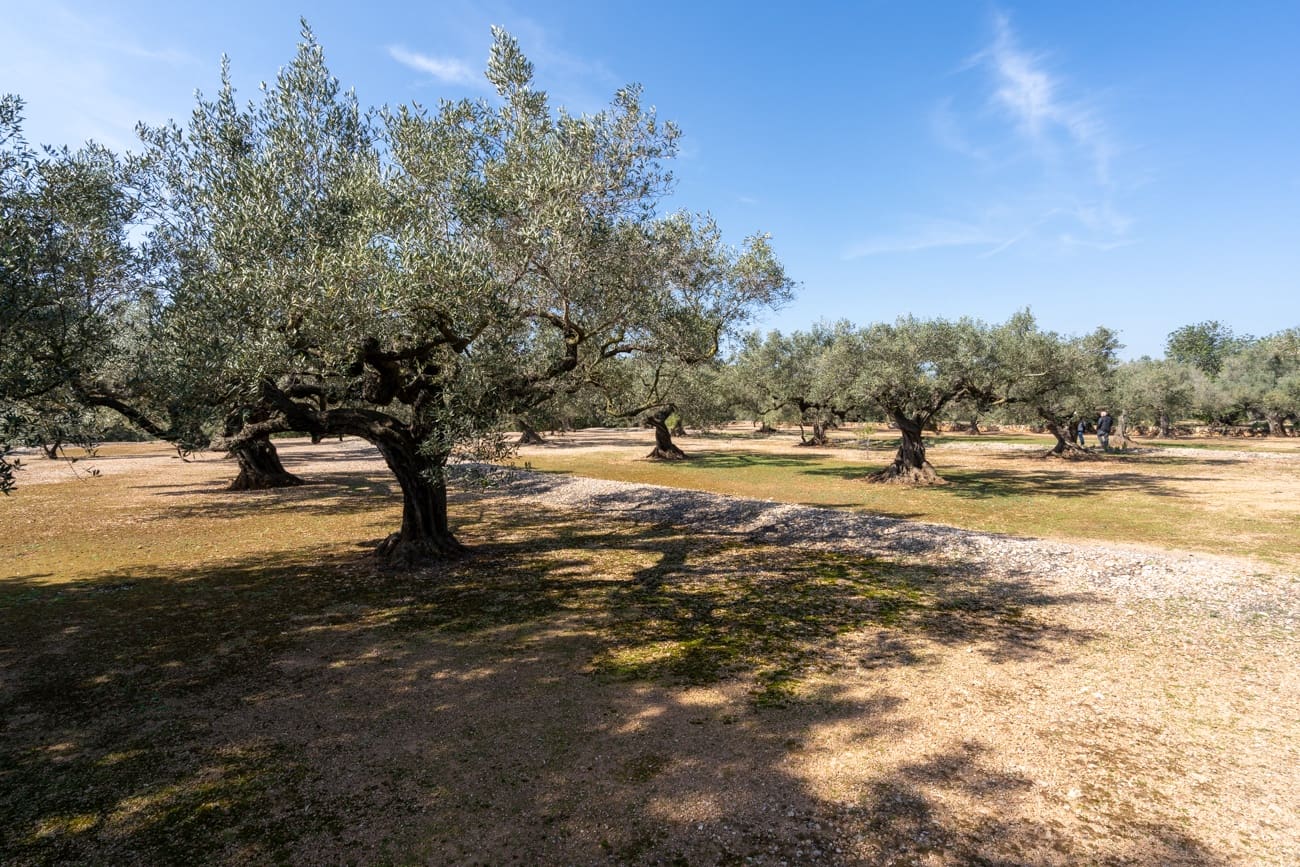 Finca/Country House for sale in Camarles - € 63,000 (Ref: 9634628)