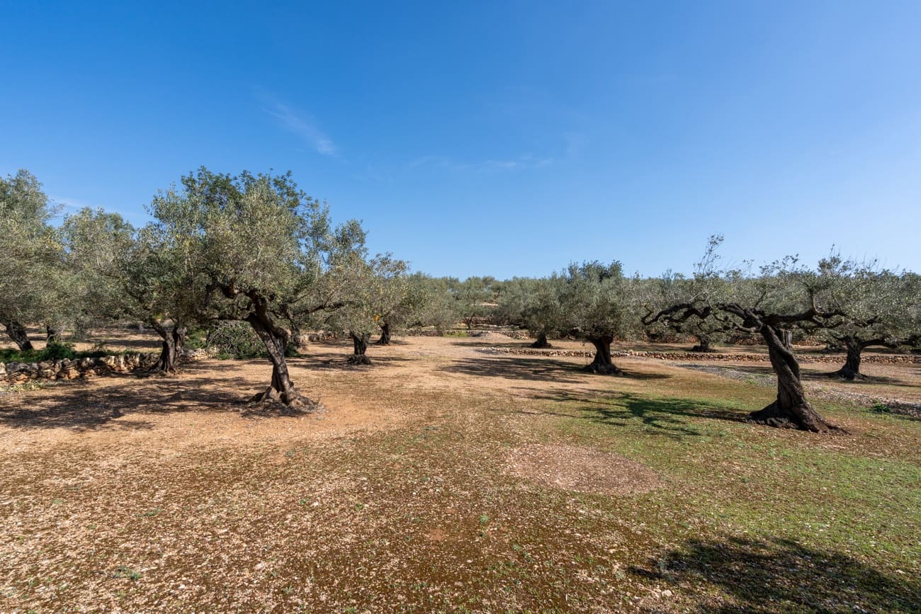 Finca/Country House for sale in Camarles - € 63,000 (Ref: 9634628)