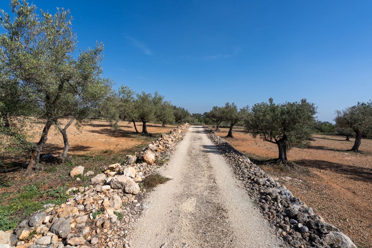 Finca/Country House for sale in Camarles - € 63,000 (Ref: 9634628)