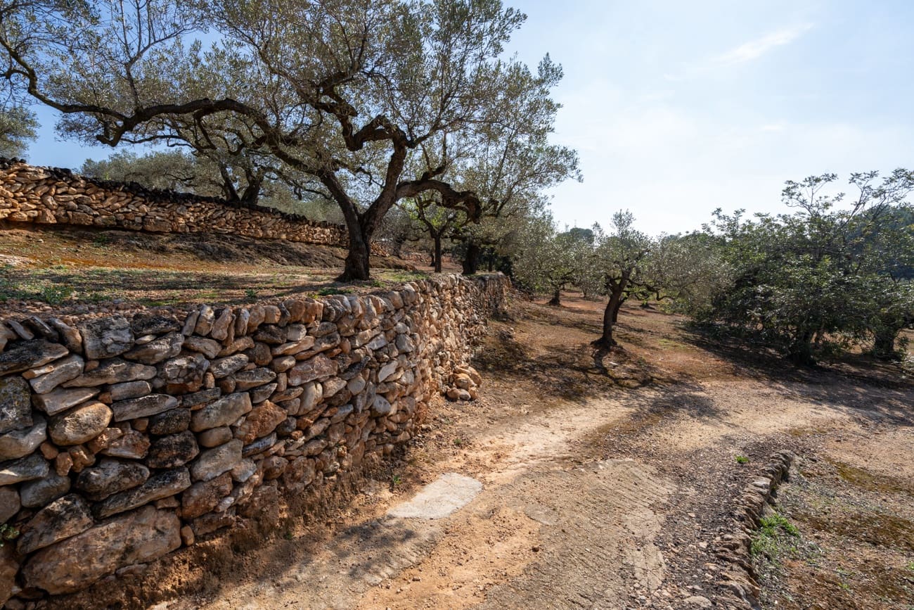 Finca/Country House for sale in Camarles - € 63,000 (Ref: 9634628)