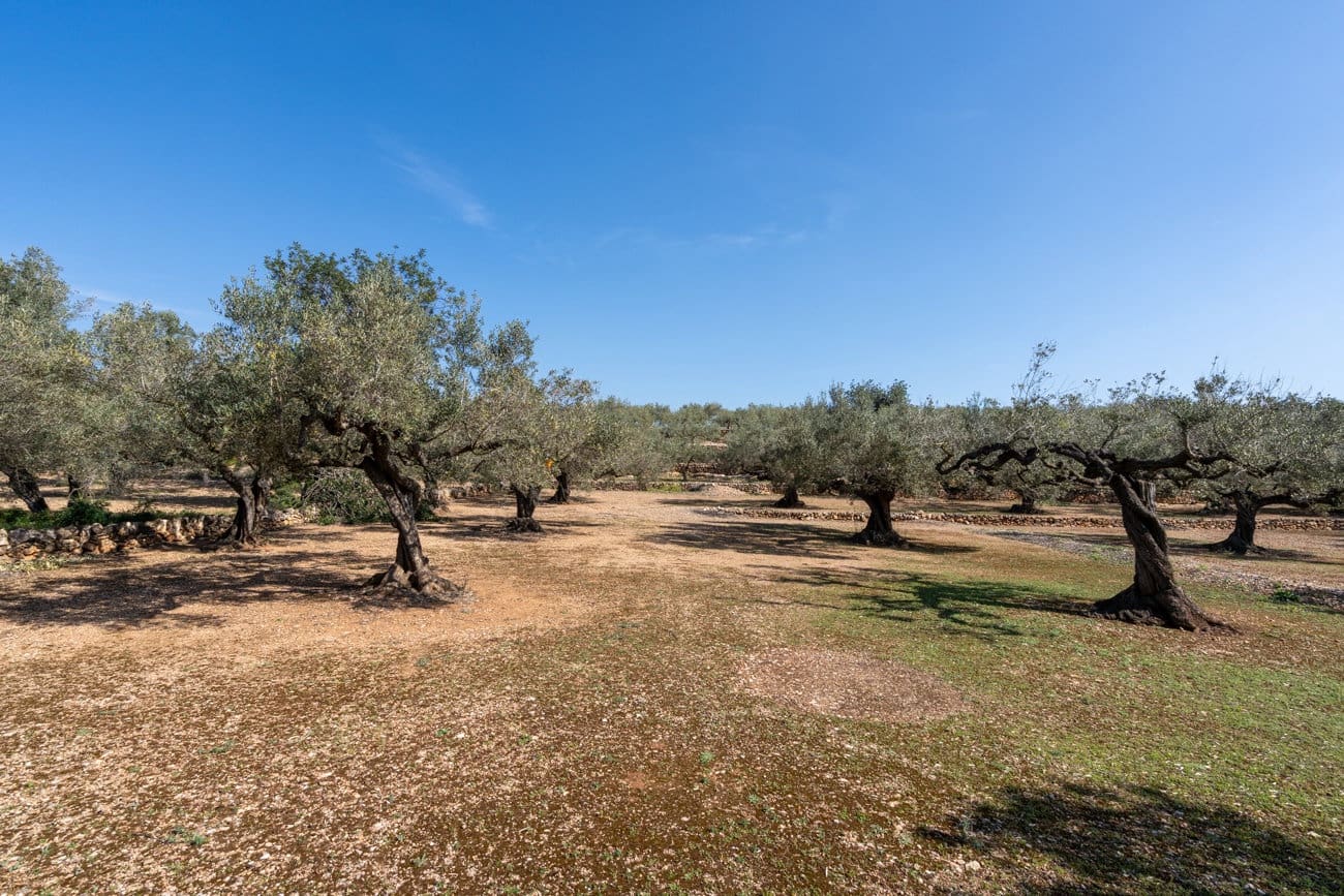 Finca/Country House for sale in Camarles - € 63,000 (Ref: 9634628)