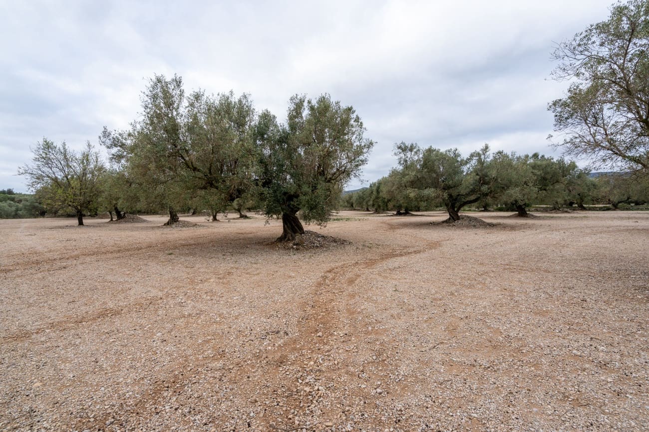 4 soverom Finca/Herregård til salgs i Mas de Barberans - € 96 000 (Ref: 9643616)