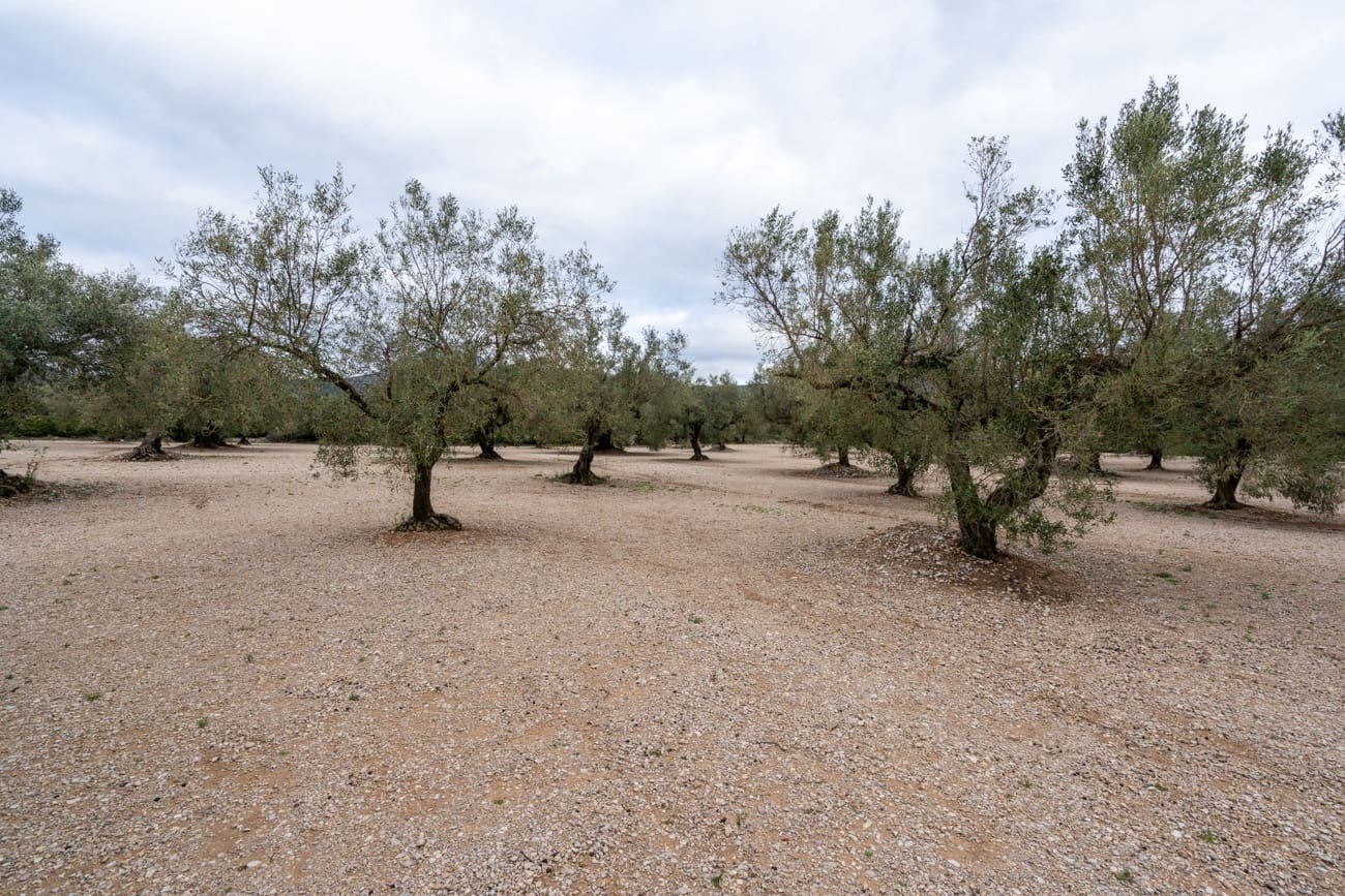 4 soverom Finca/Herregård til salgs i Mas de Barberans - € 96 000 (Ref: 9643616)