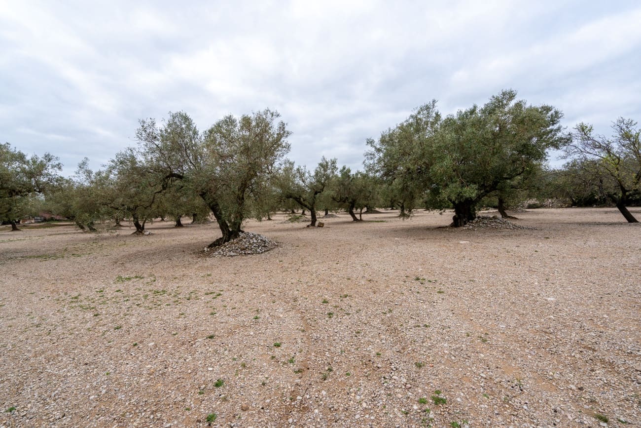 4 soverom Finca/Herregård til salgs i Mas de Barberans - € 96 000 (Ref: 9643616)