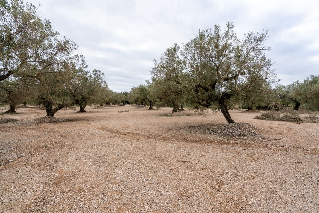 4 soverom Finca/Herregård til salgs i Mas de Barberans - € 96 000 (Ref: 9643616)