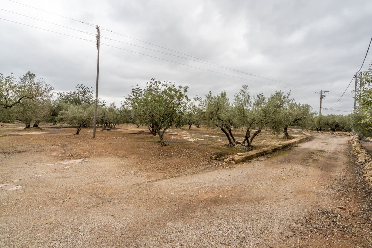 1 chambre Finca/Maison de Campagne à vendre à Els Reguers - 128 000 € (Ref: 9656364)
