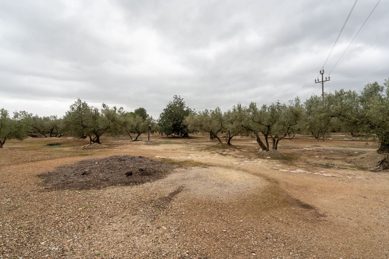 1 chambre Finca/Maison de Campagne à vendre à Els Reguers - 128 000 € (Ref: 9656364)