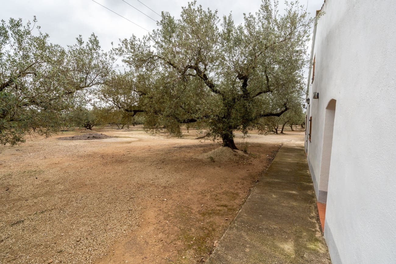 1 chambre Finca/Maison de Campagne à vendre à Els Reguers - 128 000 € (Ref: 9656364)