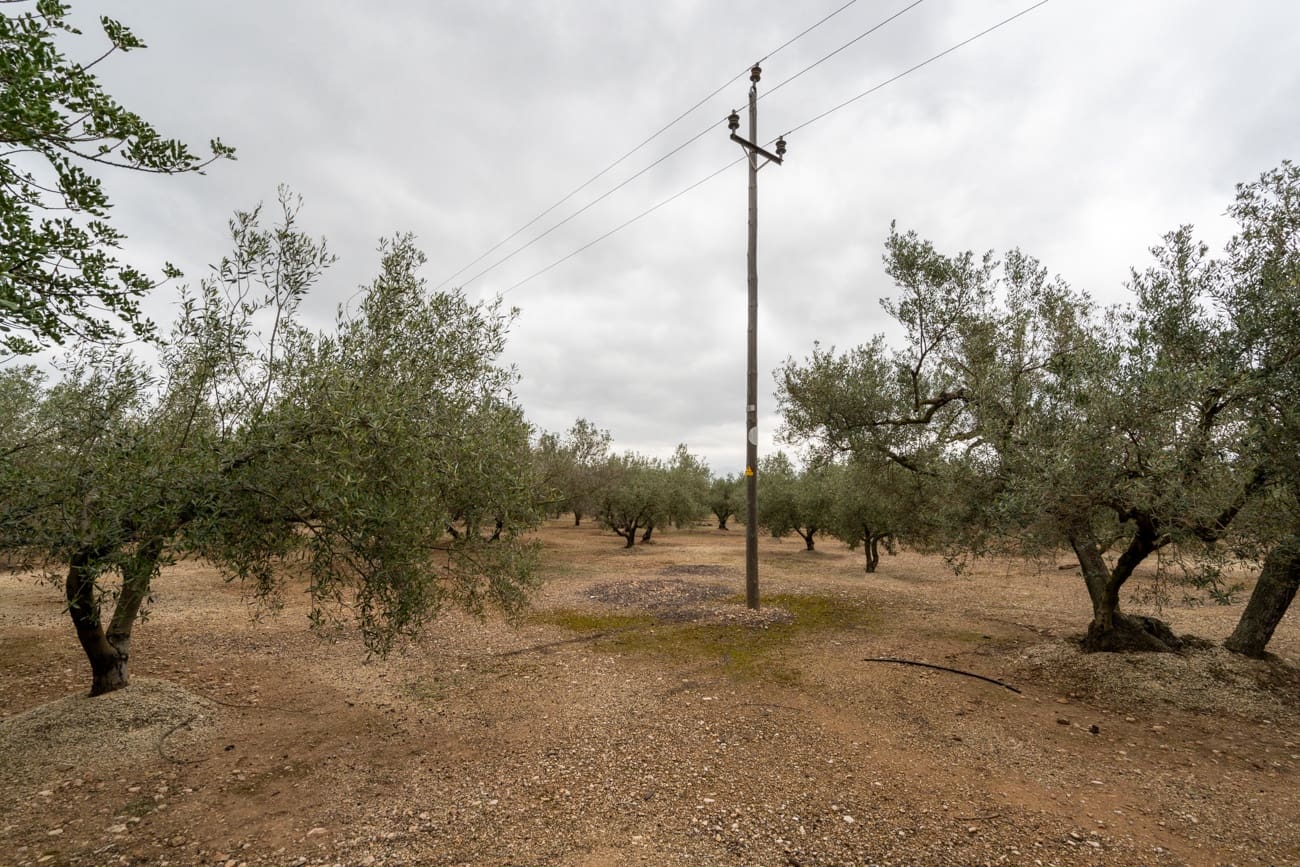 1 chambre Finca/Maison de Campagne à vendre à Els Reguers - 128 000 € (Ref: 9656364)