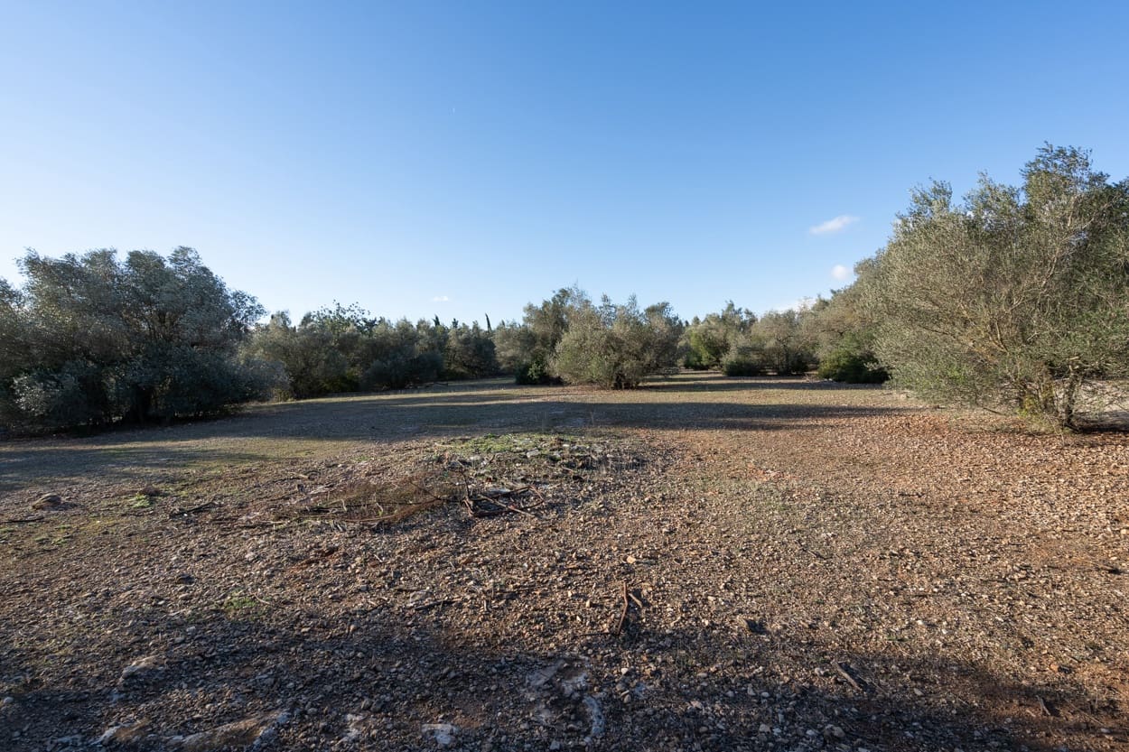 Finca/Landehus til salg i Roquetes - € 42.000 (Ref: 9685872)
