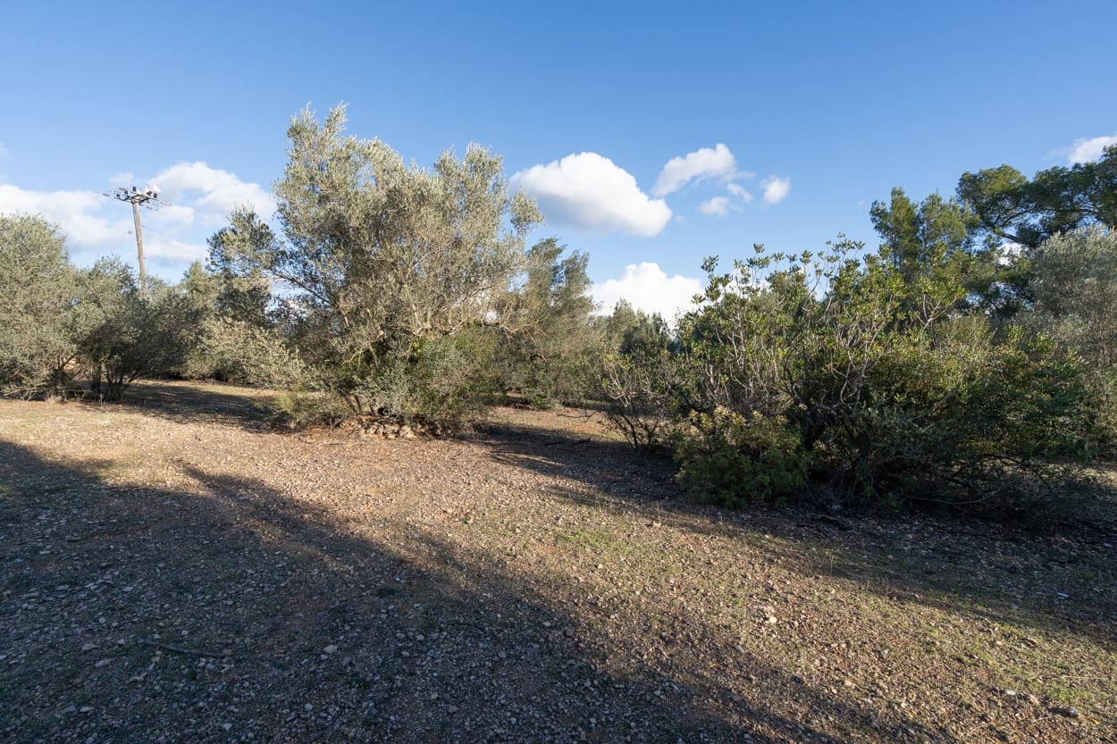 Finca/Landehus til salg i Roquetes - € 42.000 (Ref: 9685872)