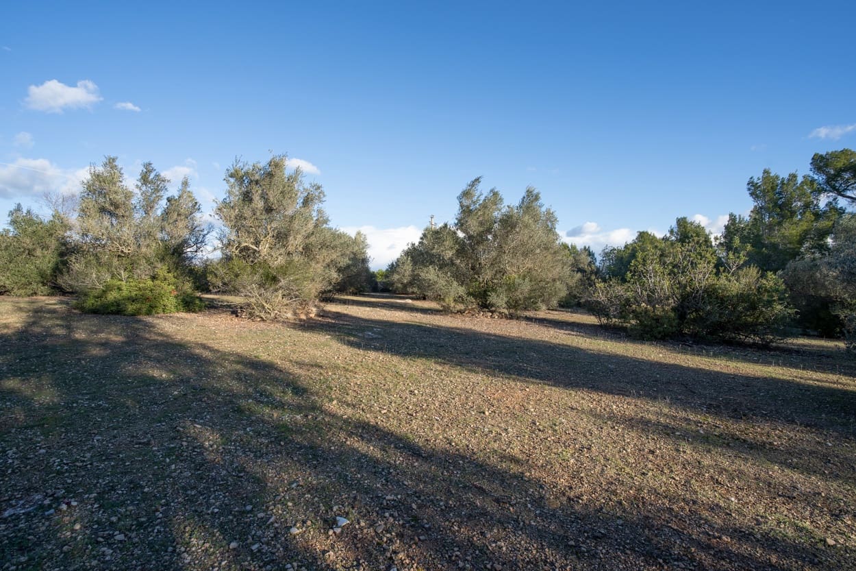 Finca/Landehus til salg i Roquetes - € 42.000 (Ref: 9685872)