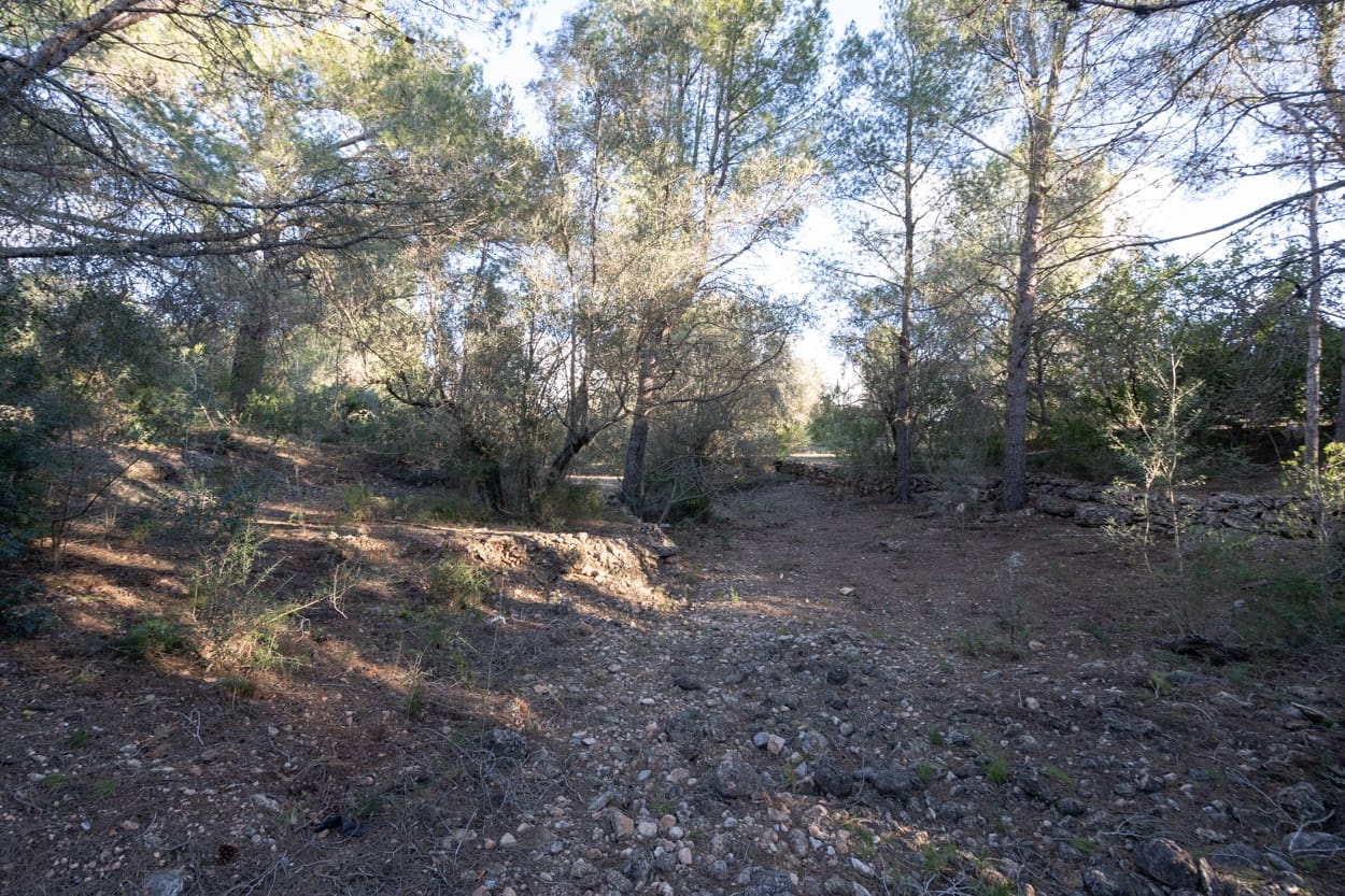 Finca/Landehus til salg i Roquetes - € 42.000 (Ref: 9685872)