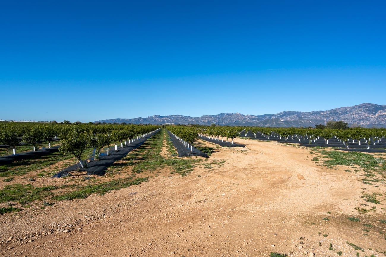 2 bedroom Finca/Country House for sale in Roquetes - € 165,000 (Ref: 9688750)