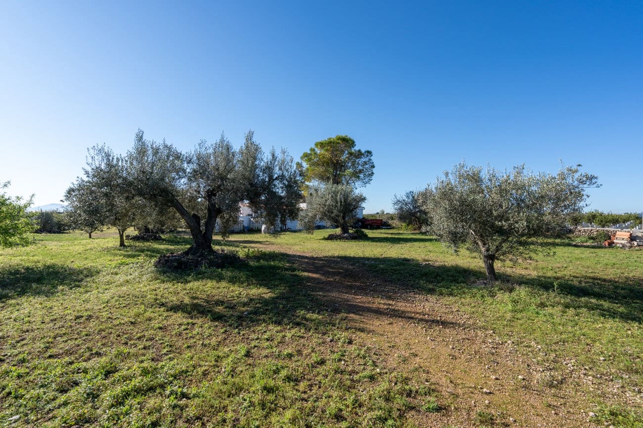 2 Zimmer Finca/Landgut zu verkaufen in Roquetes mit Garage - 165.000 € (Ref: 9688750)