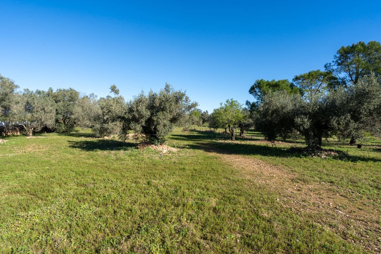 2 Zimmer Finca/Landgut zu verkaufen in Roquetes mit Garage - 165.000 € (Ref: 9688750)