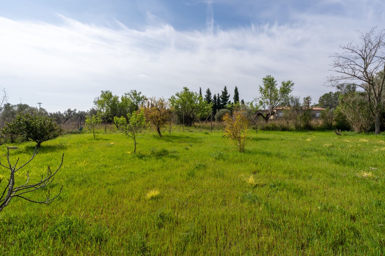 2 bedroom Villa for sale in Roquetes - € 160,000 (Ref: 9705900)