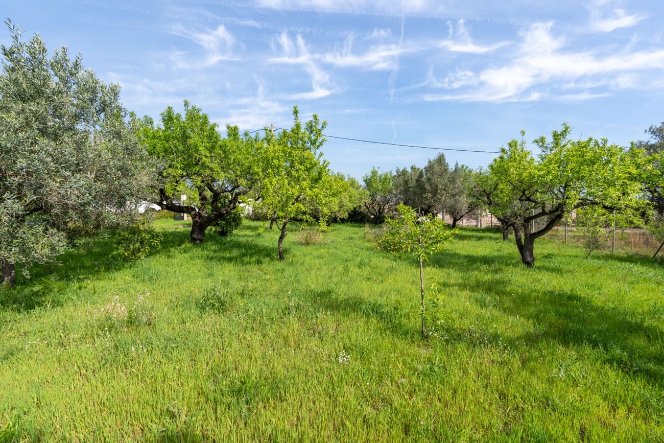 2 bedroom Villa for sale in Roquetes - € 160,000 (Ref: 9705900)