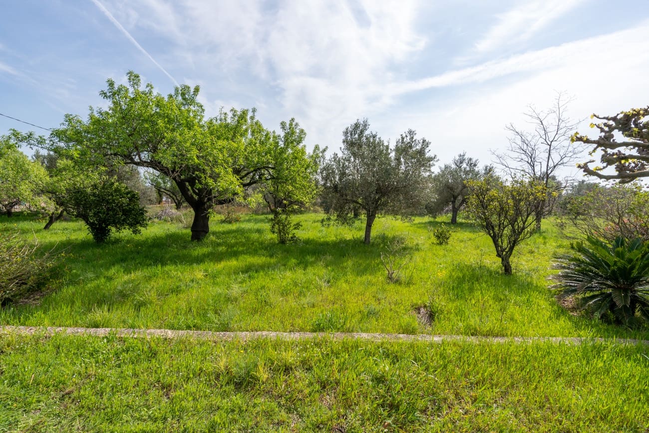 2 bedroom Villa for sale in Roquetes - € 160,000 (Ref: 9705900)