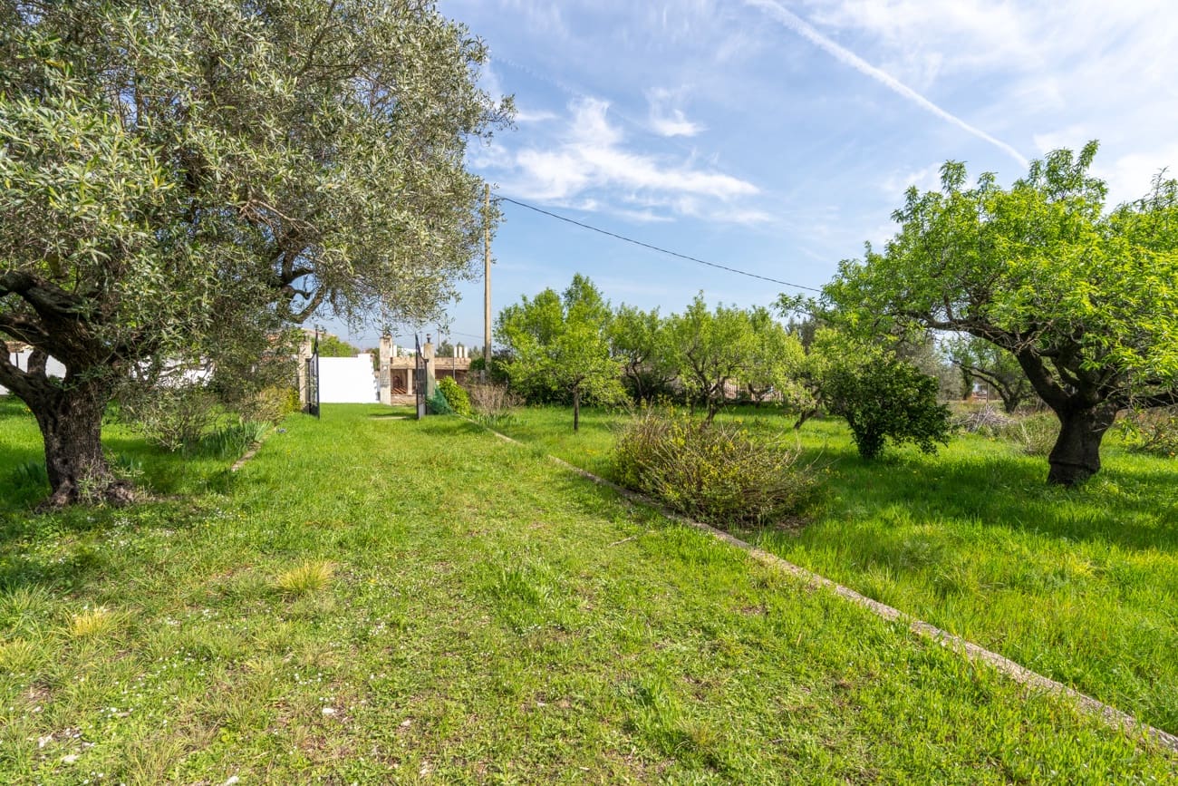 2 bedroom Villa for sale in Roquetes - € 160,000 (Ref: 9705900)