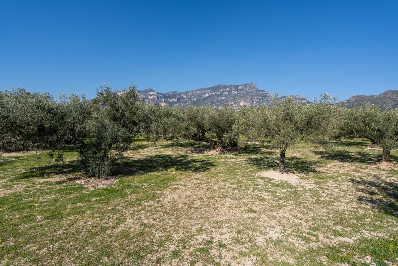 Finca/Country House for sale in Roquetes - € 110,000 (Ref: 9720246)