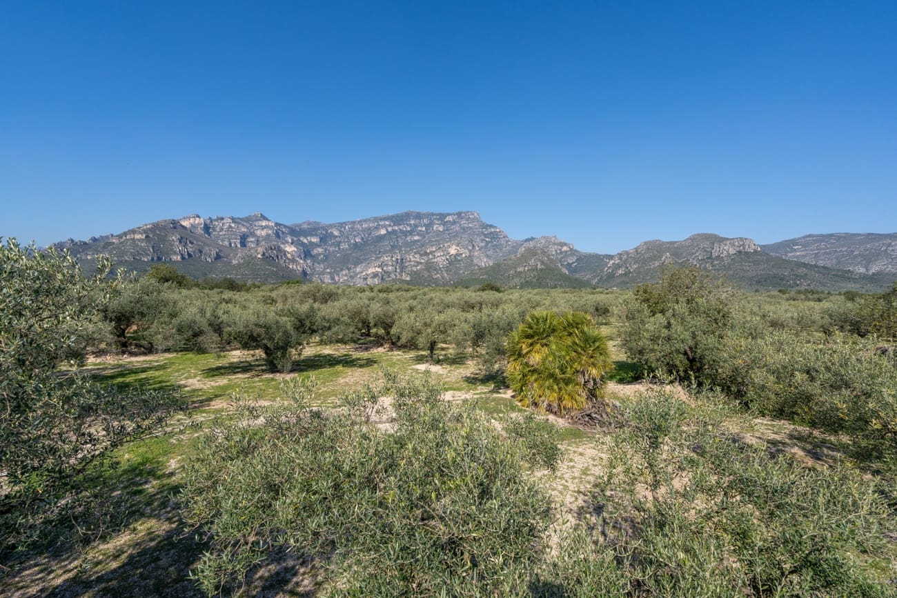 Finca/Country House for sale in Roquetes - € 110,000 (Ref: 9720246)