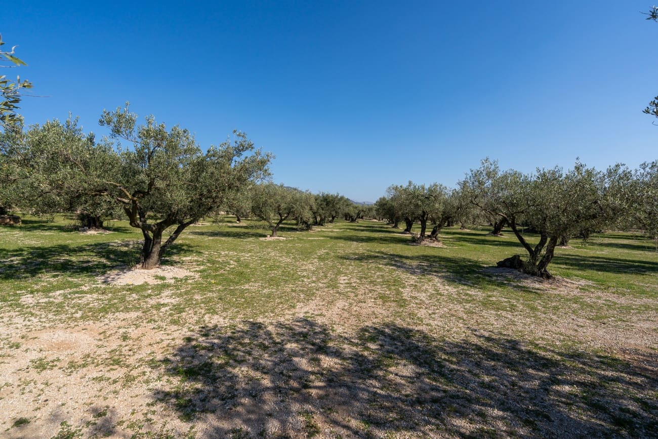 Finca/Country House for sale in Roquetes - € 110,000 (Ref: 9720246)