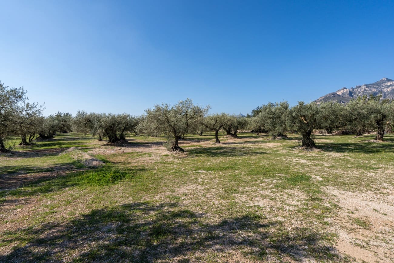 Finca/Country House for sale in Roquetes - € 110,000 (Ref: 9720246)