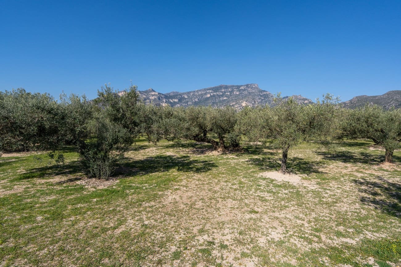 Finca/Landehus til salg i Roquetes - € 110.000 (Ref: 9720246)