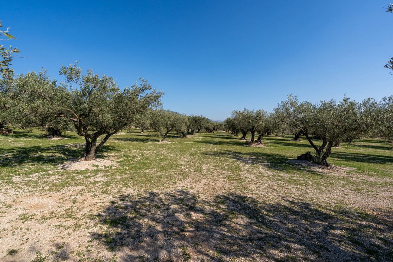 Finca/Landehus til salg i Roquetes - € 110.000 (Ref: 9720246)
