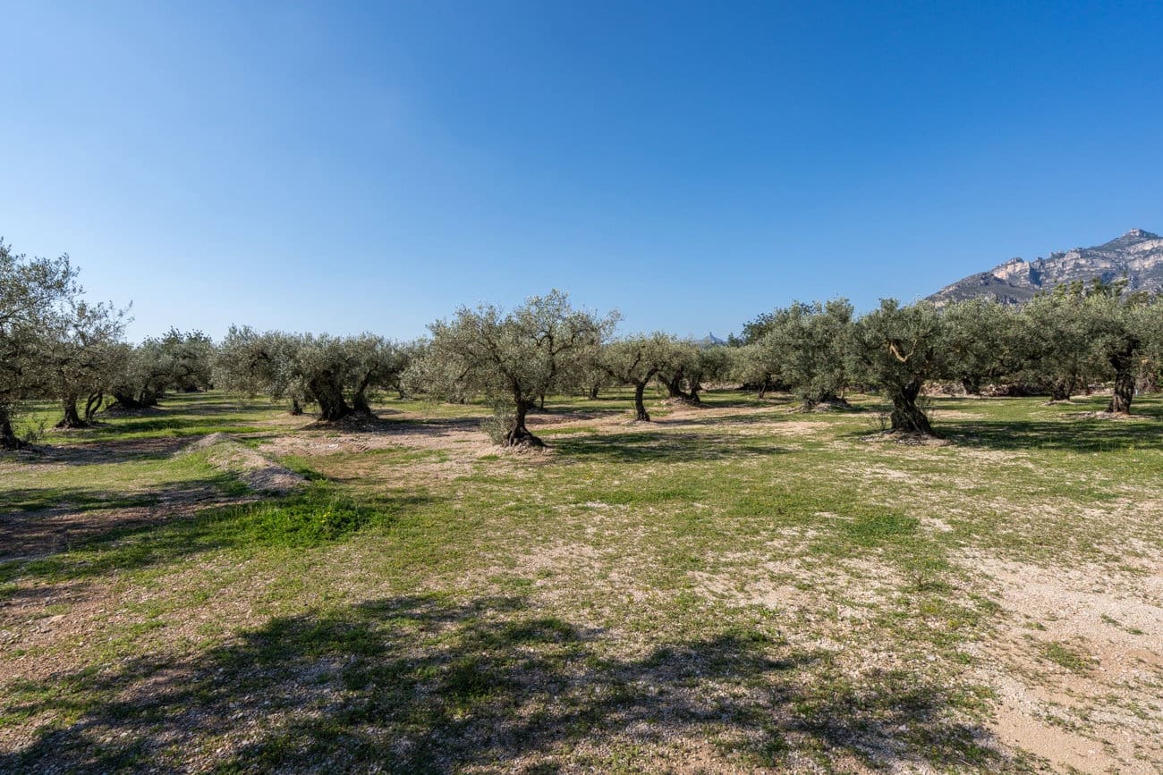 Finca/Landehus til salg i Roquetes - € 110.000 (Ref: 9720246)
