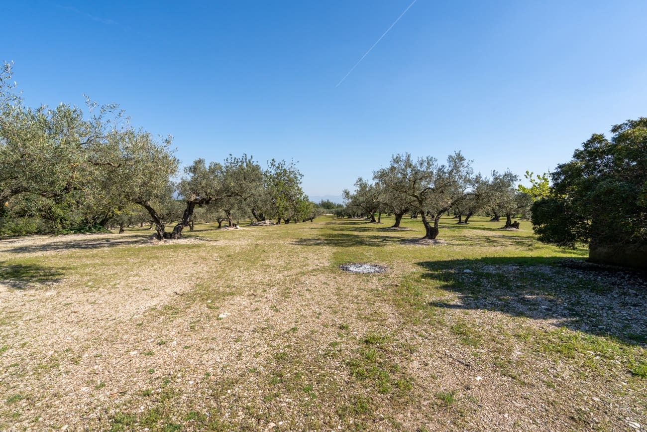 Finca/Country House for sale in Roquetes - € 40,000 (Ref: 9720331)