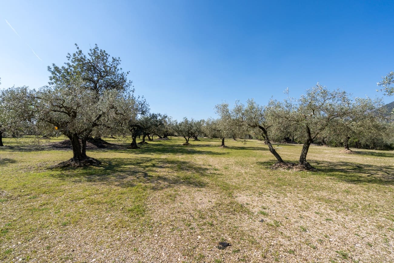 Finca/Country House for sale in Roquetes - € 40,000 (Ref: 9720331)