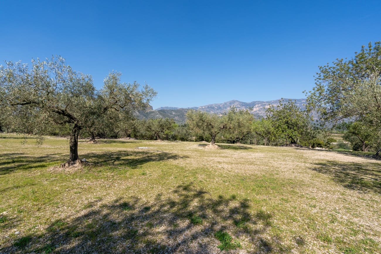 Finca/Country House for sale in Roquetes - € 40,000 (Ref: 9720331)