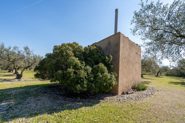 Finca/Maison de Campagne à vendre à Roquetes - 40 000 € (Ref: 9720331)