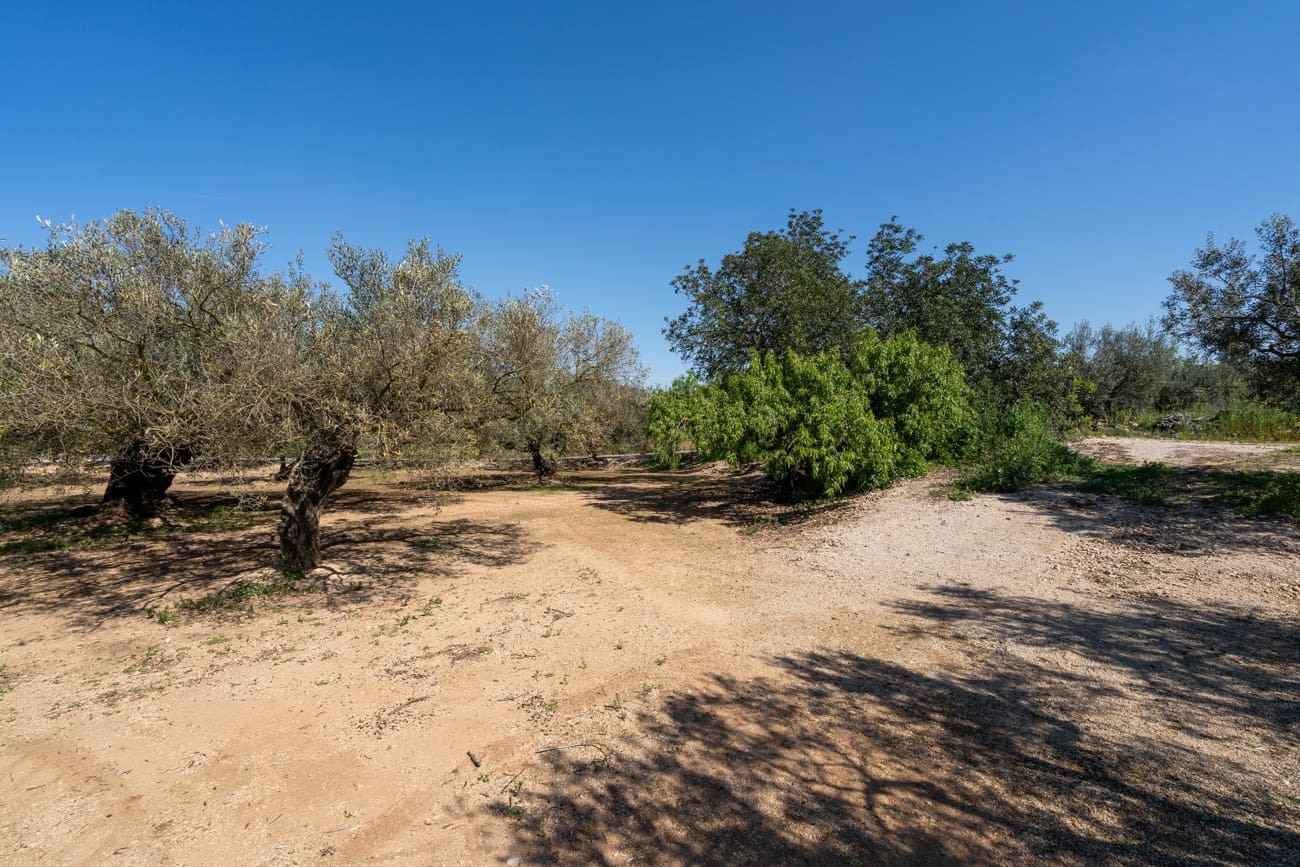 Finca/Country House for sale in Roquetes - € 25,000 (Ref: 9721092)