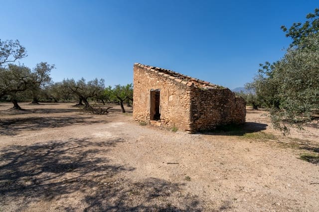 Finca/Maison de Campagne à vendre à Roquetes - 25 000 € (Ref: 9721092)