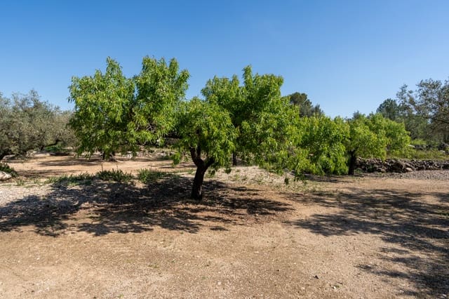 Finca/Maison de Campagne à vendre à Roquetes - 25 000 € (Ref: 9721092)