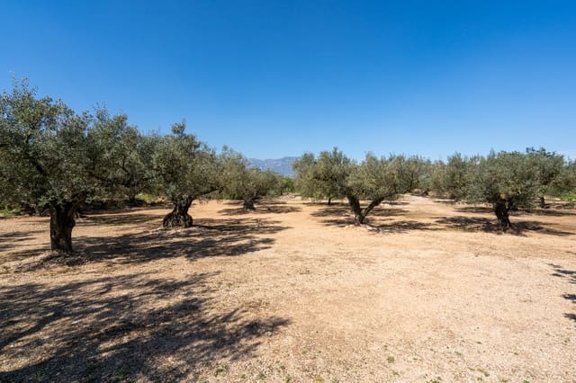 Finca/Maison de Campagne à vendre à Roquetes - 25 000 € (Ref: 9721092)