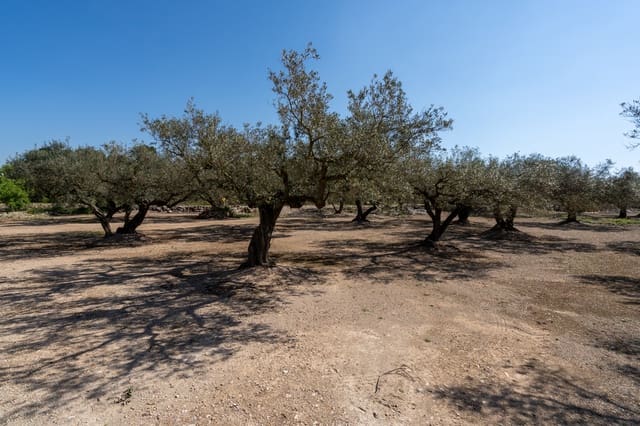 Finca/Maison de Campagne à vendre à Roquetes - 25 000 € (Ref: 9721092)