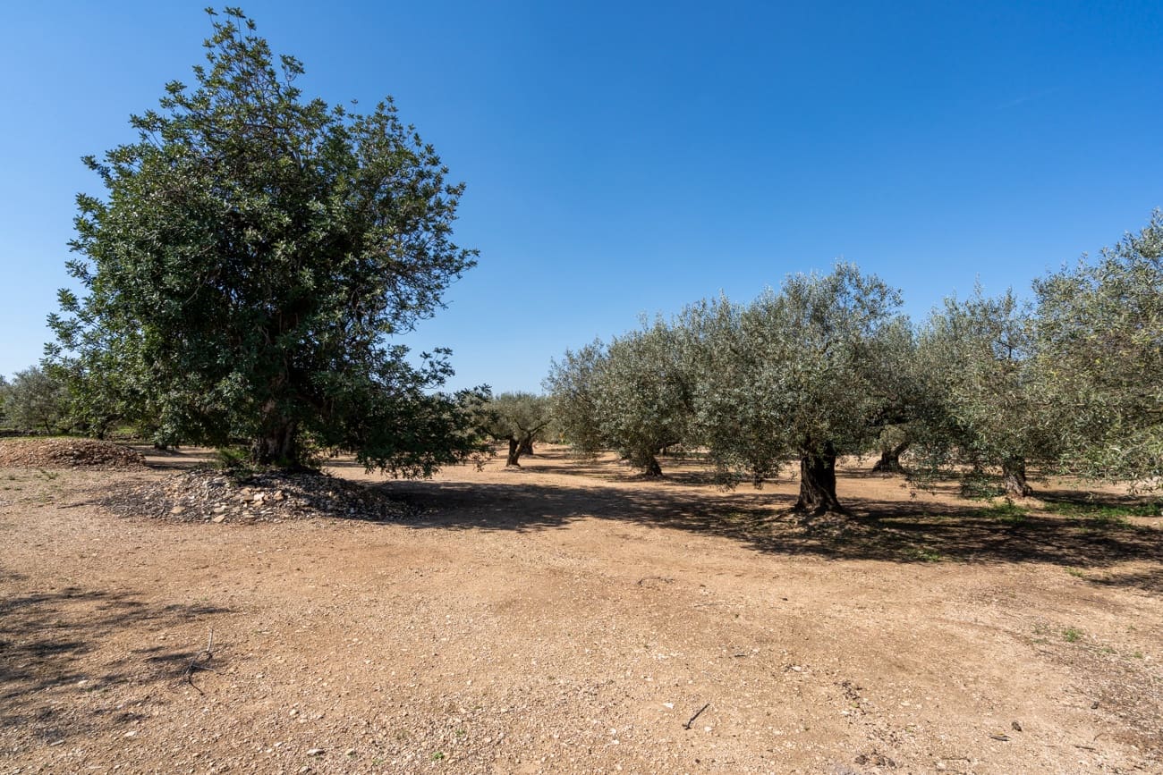 Finca/Country House for sale in Roquetes - € 25,000 (Ref: 9721092)