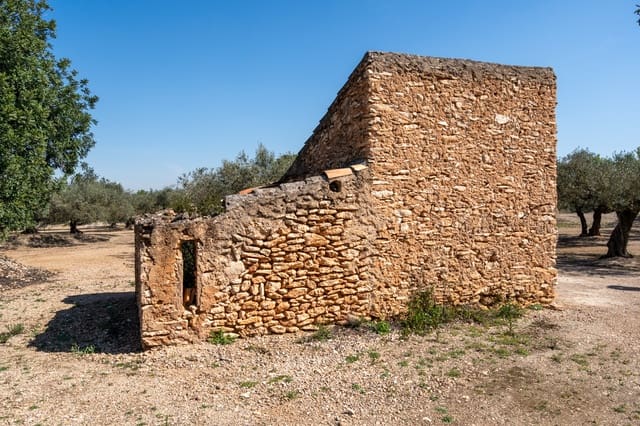 Finca/Maison de Campagne à vendre à Roquetes - 25 000 € (Ref: 9721092)