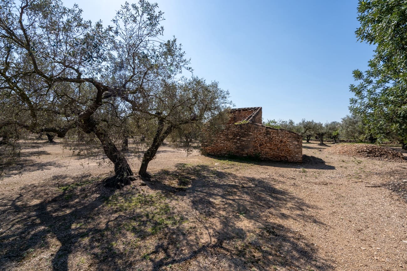 Finca/Country House for sale in Roquetes - € 25,000 (Ref: 9721092)